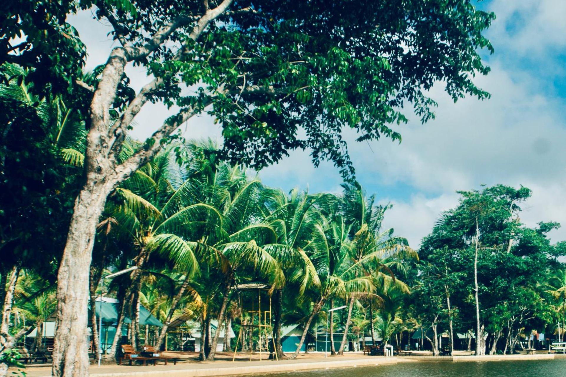 Overbridge River Resort